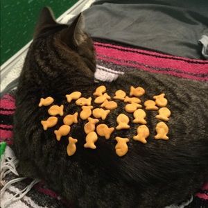 Meet your Posher, Madison